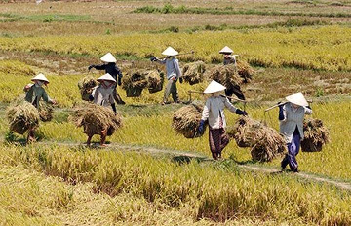 Hotspot Matrix và 2 kiểu áo hot nhất hè này: Giá chưa đến 100k mà giúp vóc dáng thon thả