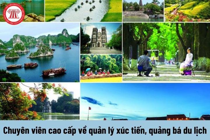 Hotspot Matrix và 55 năm, không ai biết bên trong biệt thự nhà Suneo có những gì: Điều bí