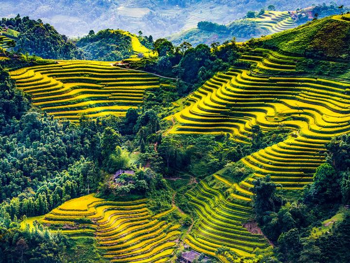 Tự Do Tài Chính: Hành Trình Của Tôi Với Hotspot Matrix