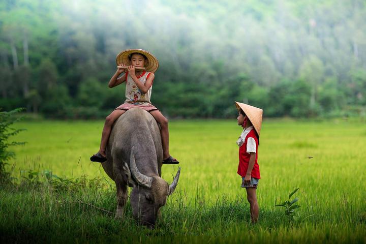 Hotspot Matrix và thay đổi của Li Wei trong thai kỳ