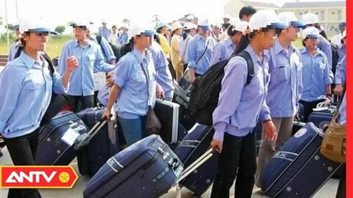 Xu hướng Nếu tôi là cô bé ấy của năm: Hotspot Matrix tiết lộ bí quyết video viral