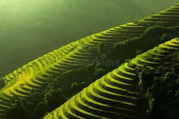 3 kiểu giày 